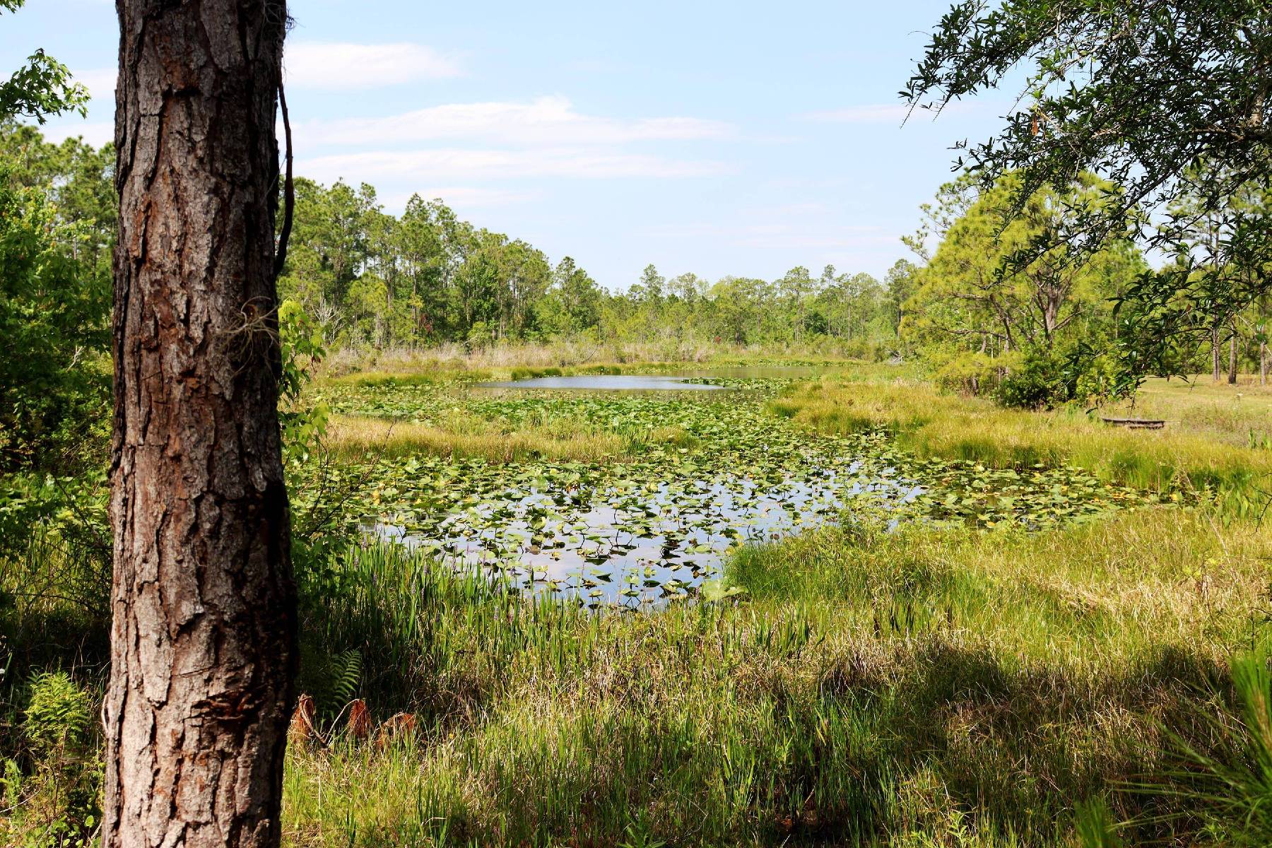the Sun 'n Lake Preserve